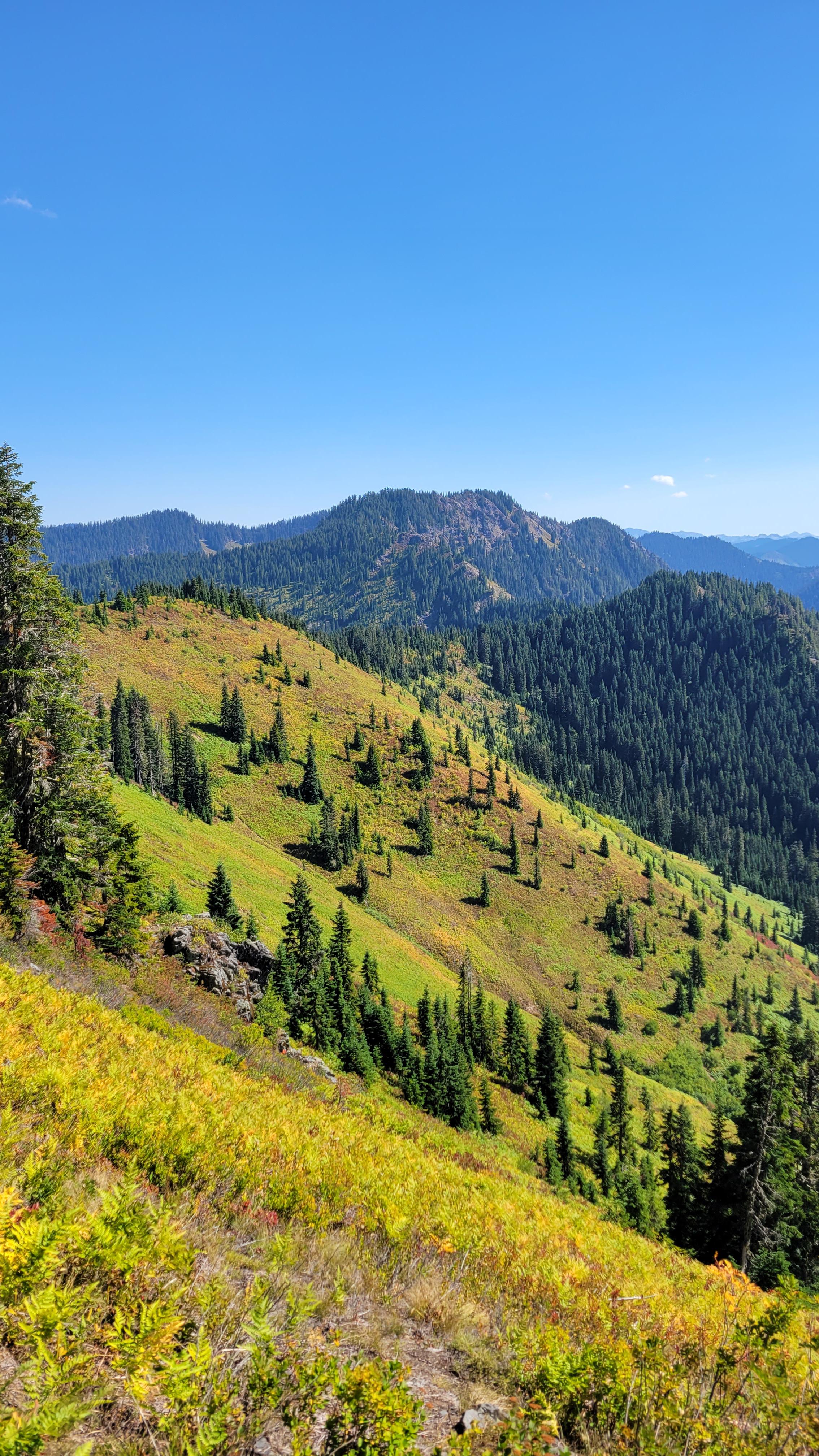 Frog Mountain — Washington Trails Association